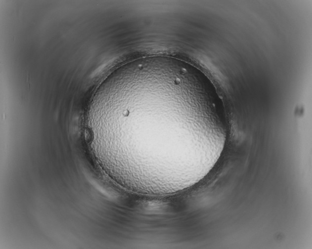 X0000090450165200707201321