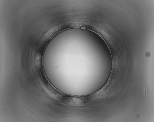 X0000090450166200707201321