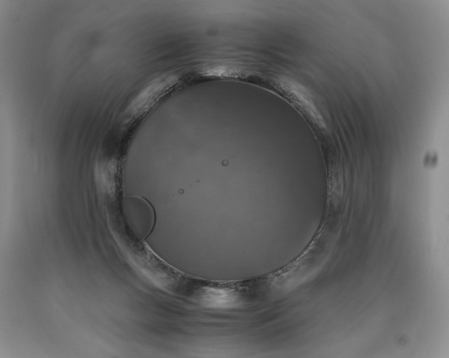 X0000090450167200707201321