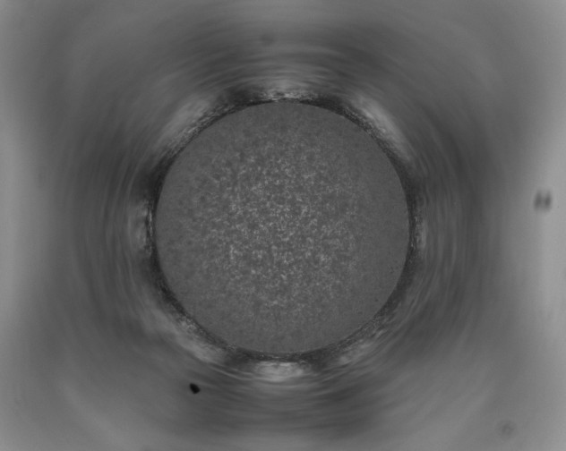 X0000090450169200707201321