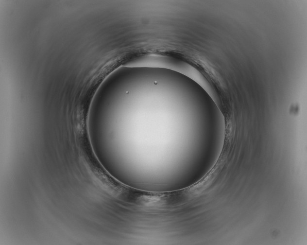 X0000090450170200707201321