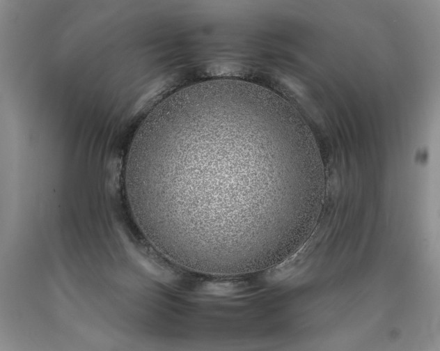 X0000090450171200707201321