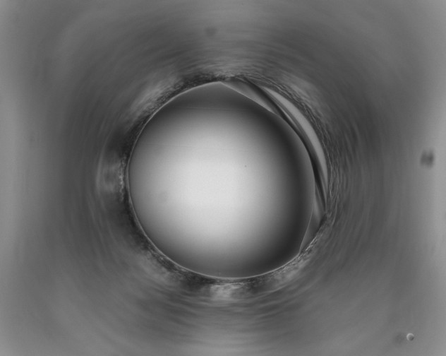 X0000090450172200707201321