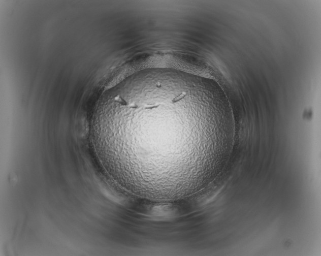 X0000090450173200707201321