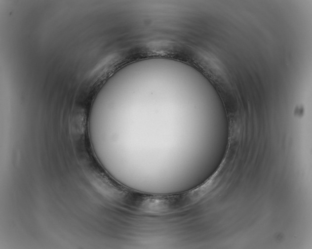 X0000090450174200707201321