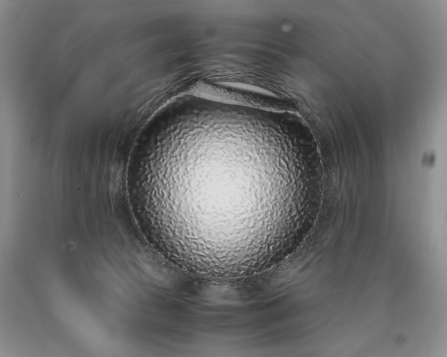 X0000090450177200707201321