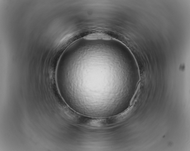 X0000090450178200707201321