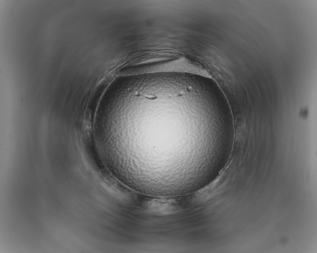 X0000090450179200707201321