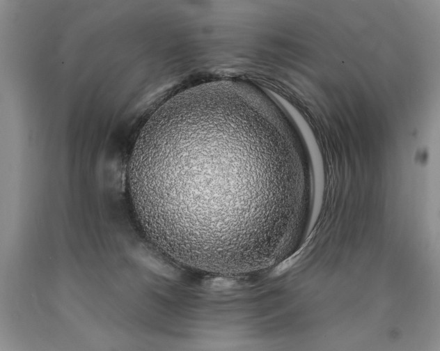 X0000090450180200707201321