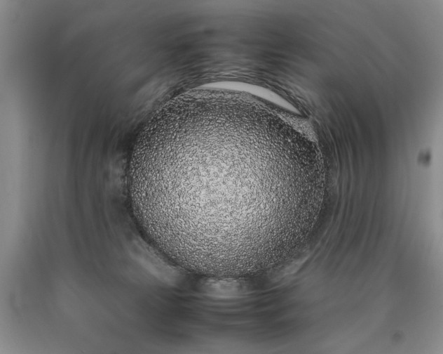 X0000090450181200707201321