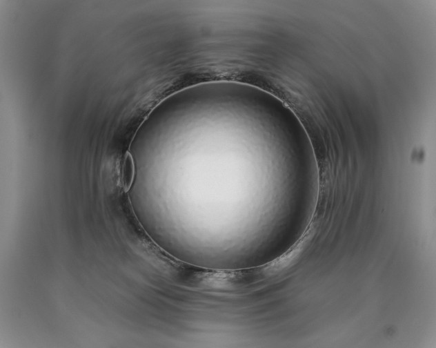 X0000090450182200707201321