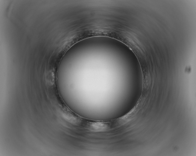 X0000090450183200707201321