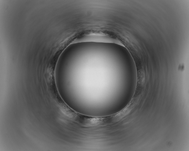 X0000090450184200707201321