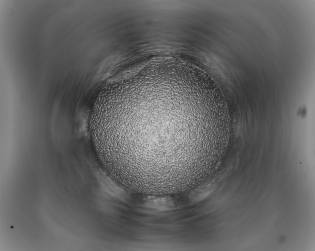 X0000090450185200707201321