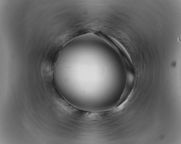 X0000090450186200707201321