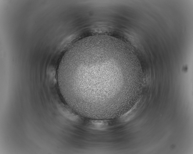 X0000090450187200707201321