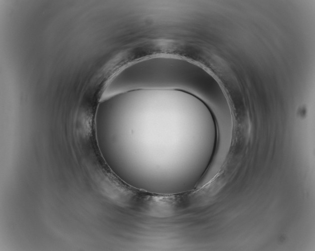 X0000090450188200707201321