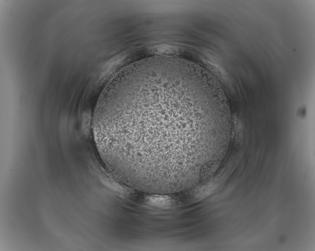 X0000090450189200707201321