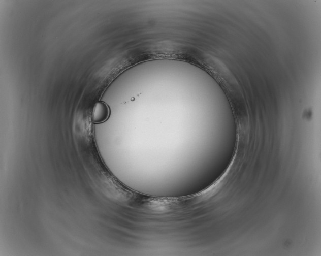 X0000090450190200707201321