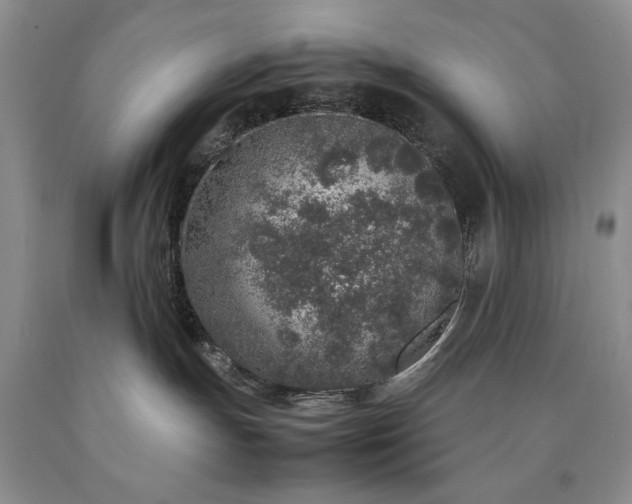 X0000090450191200707201321