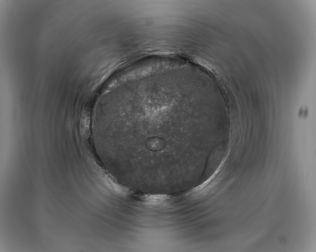 X0000090450192200707201321