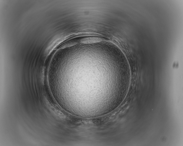 X0000090450194200707201320