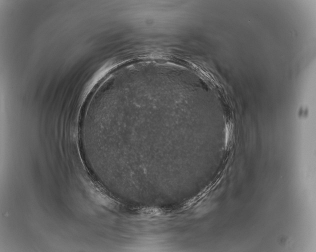 X0000090450195200707201320