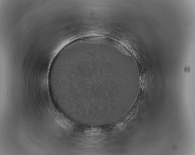 X0000090450196200707201320