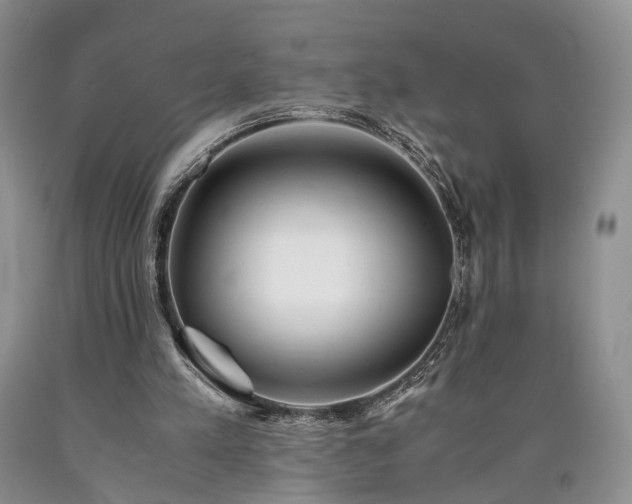 X0000090450197200707201320