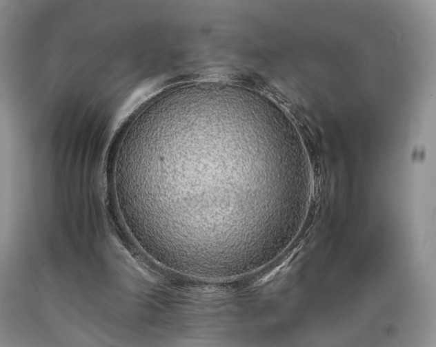 X0000090450198200707201320