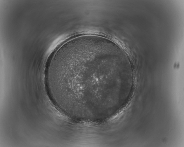 X0000090450199200707201320