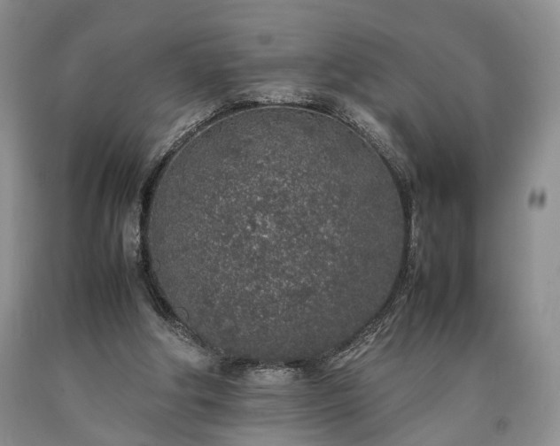 X0000090450202200707201320