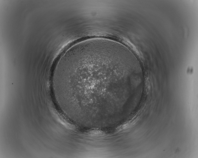 X0000090450203200707201320