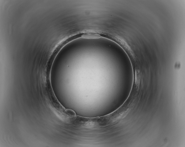 X0000090450204200707201320