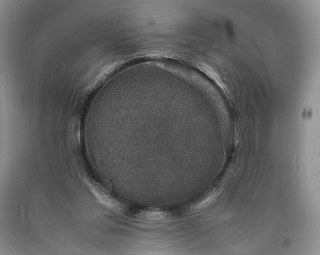 X0000090450205200707201320