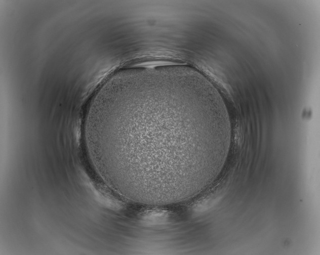 X0000090450206200707201320