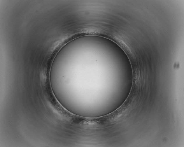 X0000090450208200707201320