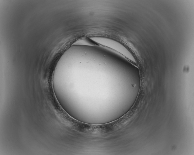 X0000090450209200707201320