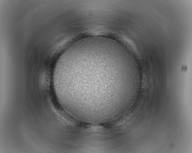 X0000090450210200707201320