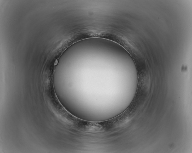 X0000090450215200707201320