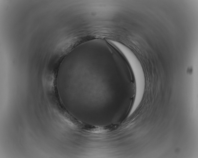 X0000090450219200707201320