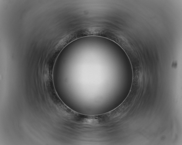 X0000090450220200707201320