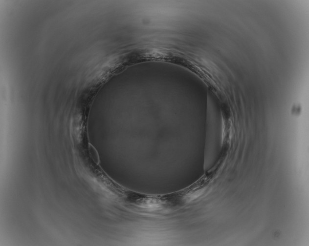 X0000090450223200707201320