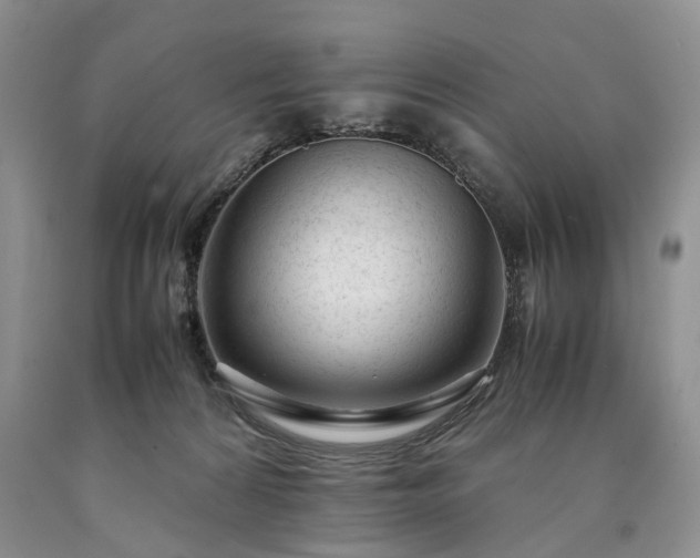 X0000090450224200707201320