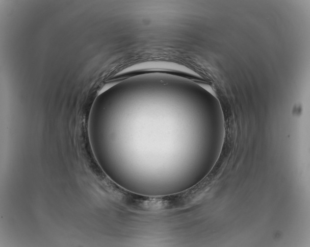 X0000090450225200707201320