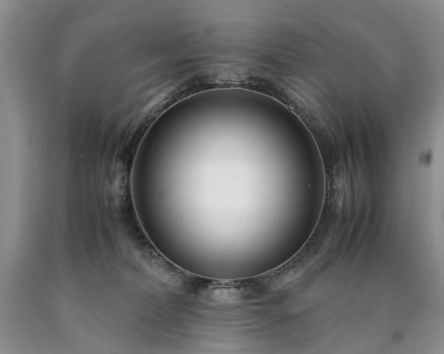 X0000090450228200707201320