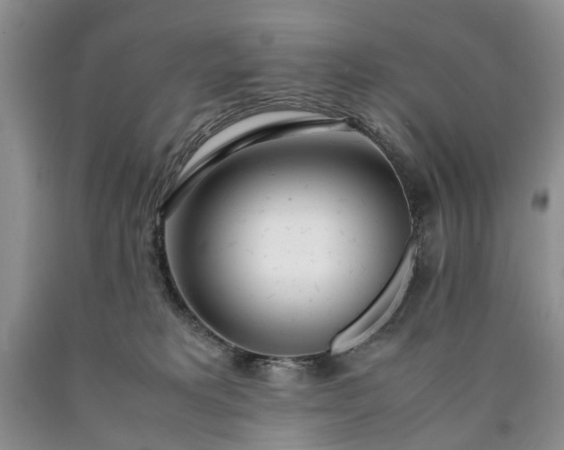 X0000090450229200707201320