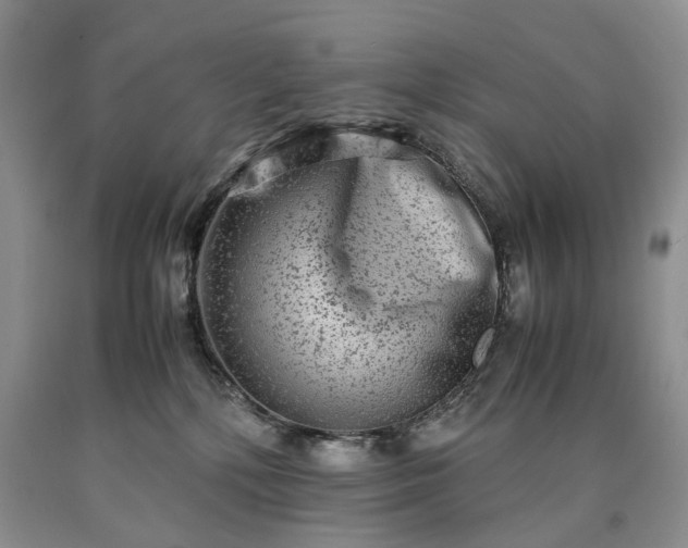 X0000090450232200707201320