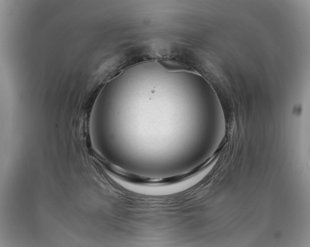 X0000090450233200707201320