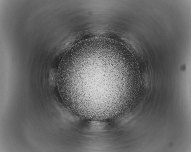 X0000090450234200707201320